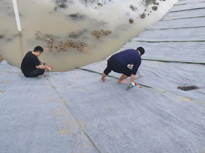 鱼塘护坡水泥毯
